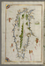 Map of the Island of Crete Thumbnail