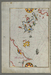 Map of the Island of Kalimnos Thumbnail