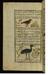 An Indian Bird Called Quqis and a Crane Thumbnail
