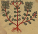 Four Leaves from the Arabic Version of Dioscorides' De materia medica Thumbnail