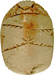 Scarab Amulet Thumbnail