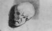 Academic Study of a Skull Thumbnail