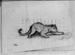Panther & civet cat (squared off) Thumbnail