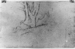 Sketch of a tree Thumbnail