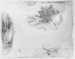 Sketch of trees and rocks Thumbnail