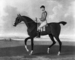 Horse Portrait Of "Flying Childers" Thumbnail