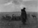 The Shepherdess and Her Flock Thumbnail
