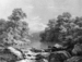 River And Forest Scene Thumbnail