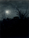 Hawthorn Trees in front of a Nocturnal Landscape with Houses in the Background Thumbnail