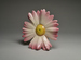 Vase in the Form of a Daisy Thumbnail