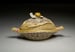 Covered Dish Thumbnail