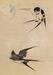 Two Swallows and Wind Bell Thumbnail
