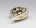 Snuff Bottle with Butterfly and Plum Blossom Thumbnail
