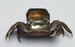Crab Box Thumbnail