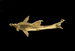Shark Pendant Thumbnail