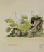Leaf from Album Depicting Birds, Flowers, Landscapes, and Flower Pots Thumbnail