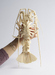 Articulated Spiny Lobster Thumbnail