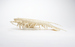 Articulated Spiny Lobster Thumbnail