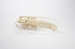 Articulated Spiny Lobster Thumbnail