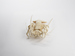 Articulated Spiny Lobster Thumbnail