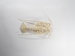 Articulated Spiny Lobster Thumbnail
