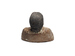 Head and Bust of a Woman Thumbnail