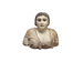 Head and Bust of a Woman Thumbnail