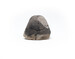 Head Thumbnail