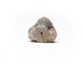 Head Thumbnail