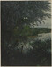 Willow Tree and Convolvulus in front of a River Thumbnail
