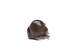 Mouse Thumbnail