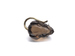Mouse Thumbnail