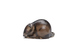 Mouse Thumbnail
