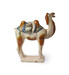 Camel Thumbnail