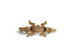 Pendant with a Double-Headed Alligator Thumbnail