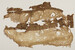 Tiraz fragment with decorative bands of pattern, ducks, and inscription Thumbnail