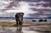 Thumbnail: Elephants in Water