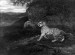 Thumbnail: Tiger Watching an Elephant
