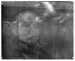 Thumbnail: Portrait of the Rt. Hon. W. E. Gladstone (1809-1898)