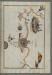 Thumbnail: Map of the Eastern Coast of Calabria with the Towns of Crotone and Catanzaro