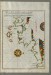 Thumbnail: Map of the French Coast From Nice as Far as Toulon