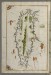 Thumbnail: Map of the Island of Crete