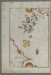 Thumbnail: Map of the Island of Kalimnos