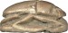 Thumbnail: Stylized Scarab with Cartouche of Thutmosis IV (1397-1388 BC)