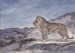 Thumbnail: Standing Lion