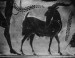 Thumbnail: Amphora with Scenes of Dionysus