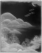 Thumbnail: Box for documents/ ryoshi-bako; Seven flying wild geese in landscape