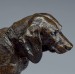Thumbnail: Basset Standing with Head Turned to the Right