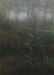 Thumbnail: Woodland Scene with Floral Foreground