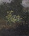 Thumbnail: Glimpse in a Thicket